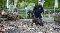 Ein Polizist und sein Polizeihund suchen einen Tatort ab