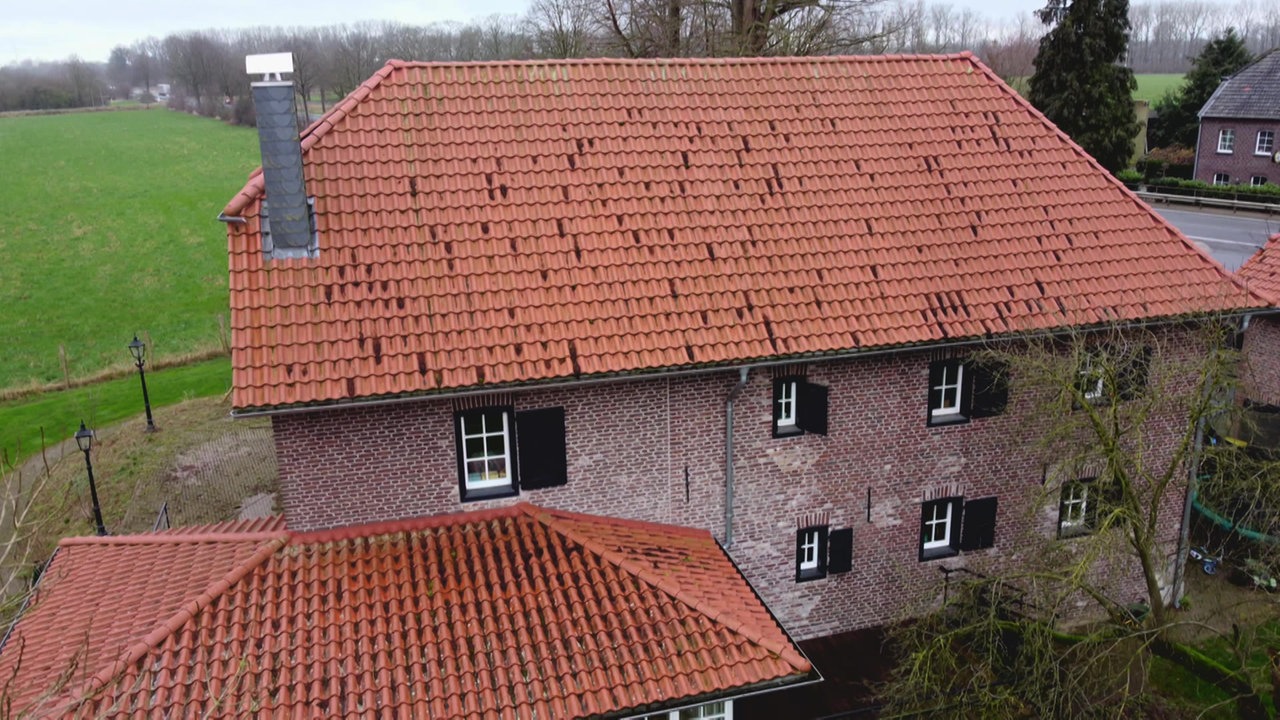 Williksche Mühle