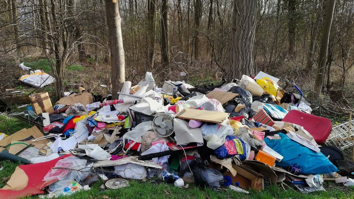 Müll und verfallene Campingwagen im Wald