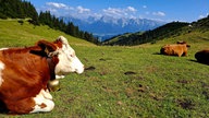 Urlaubsfoto aus den Bergen von Brigitte Nünn