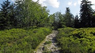 Wanderweg