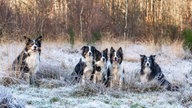 Ihre schönsten Winterspaziergänge