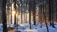 Ihre schönsten Winterspaziergänge