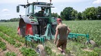 Christoph Bochröder läuft hinter dem Traktor auf dem Feld. 