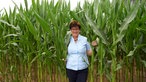 Helga Trimborn steht in einem Maisfeld