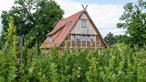 Herrenhaus auf dem Hof, im Vordergrund Berrebsträucher.