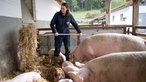 Katharina Mühlbauer bringt Streu im Schweinestall aus. 