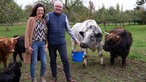 Dorothee und Volker mit Rindern auf Obstwiese