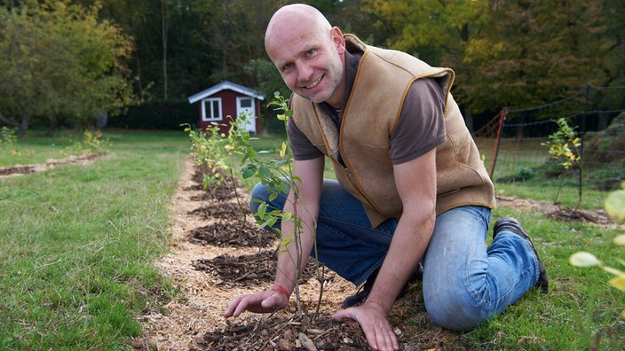 Ben Siegmund pflanzt Blaubeeren