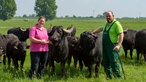 Beate und Martin Döring inmitten ihrer Wasserbüffel.