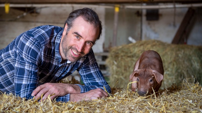 Nikolas Weber liegt neben einem seiner Ferkel im Stroh