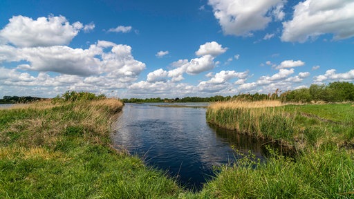 Die Rieselfelder in Münster, europäisches Vogelschutzgebiet in Münster