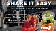 Buchtitel: "Shake it easy. Perfekte Drinks - mit und ohne Alkohol"