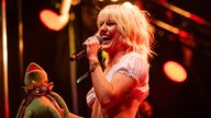 Amyl And The Sniffers