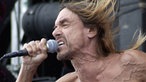 Iggy Pop beim Bizarre Festival 2001