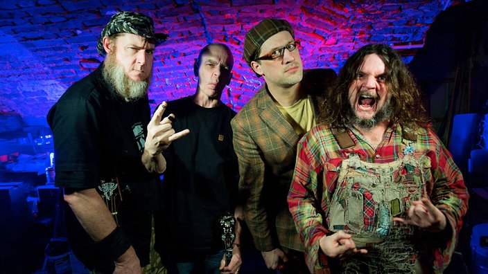 Hayseed Dixie