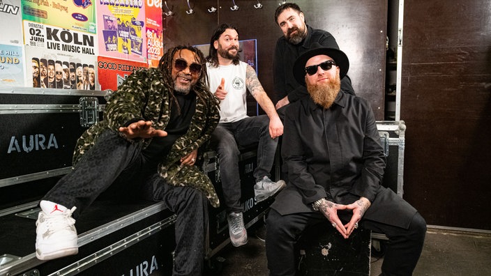 Skindred