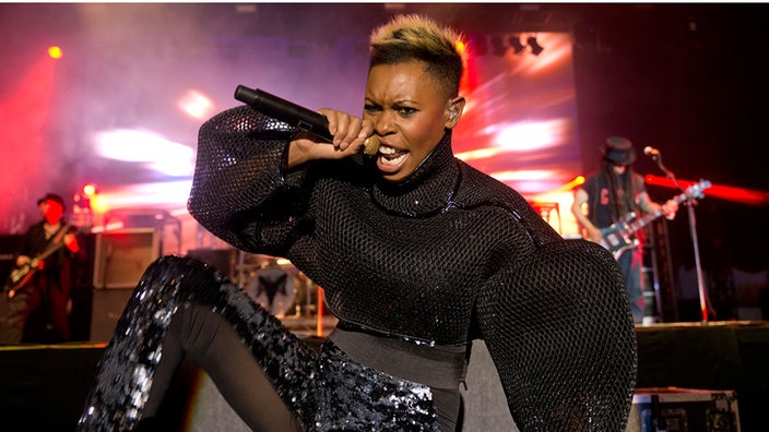 Serengeti Festival 2013: Skunk Anansie