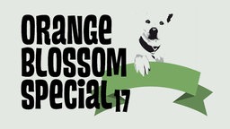 Logo Orange Blossom Special 17