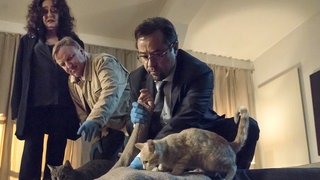 Szene aus dem Münsteraner Tatort "Schlangengrube"