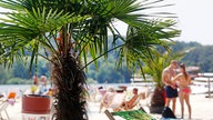 Im Seaside Beach am Baldeneysee sonnen sich die Badegäste. 