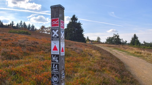 Rothaarsteig mit Wandersymbol