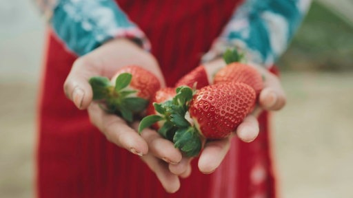 Ein Körbchen mit roten Erdbeeren wird in die Kamera gehalten