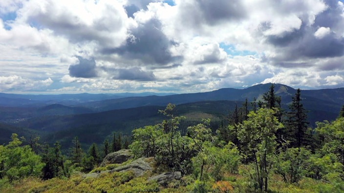 Blick über Bäume auf Gebirgslandschaft: Der Nationalpark Bayerischer Wald ist der älteste Nationalpark Deutschlands.