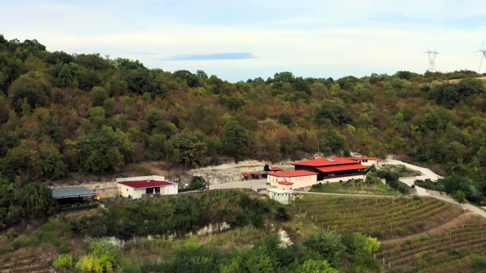 Blick von oben auf ein Weingut an einem Hang mit Wald und Weinfeld