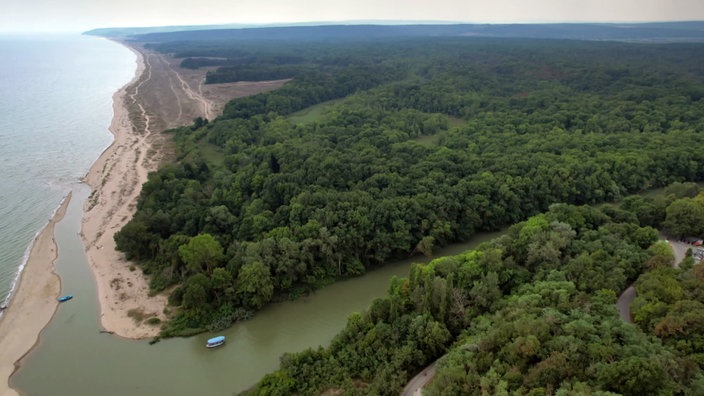 Blick von oben auf eine Flussmündung ins Meer, zu beiden Ufern dichter Wald