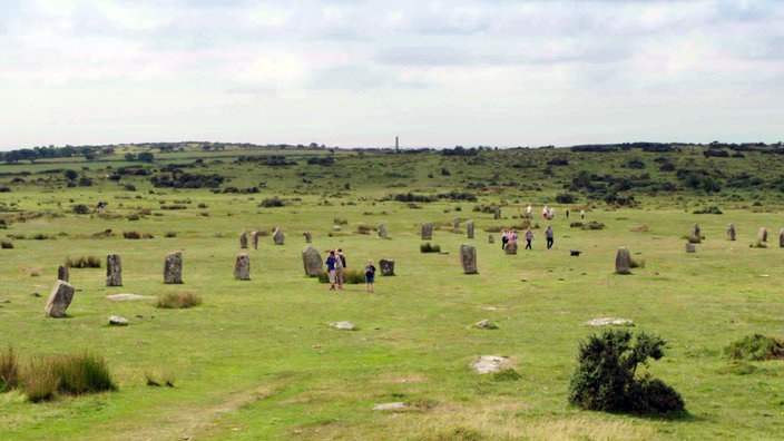 Leicht wellige Wiesenlandschaft mit vielen großen aufgestellten Felsbrocken