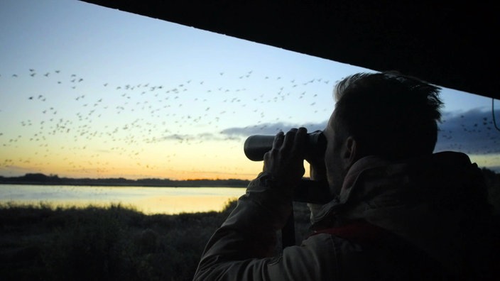 Daniel Aßmann beobachtet die Vögel am Vogelflugplatz mit einem Fernglas