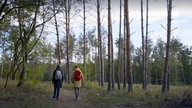 Daniel Aßmann und eine Wanderführerin wandern in den Glindower Alpen