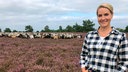 Judith Rakers besucht die Lüneburger Heide, die sich im August in ein leuchtendes lila Blütemeer verwandelt.