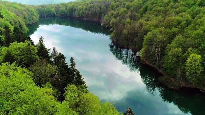 Gletschersee umgeben von dichtem Wald