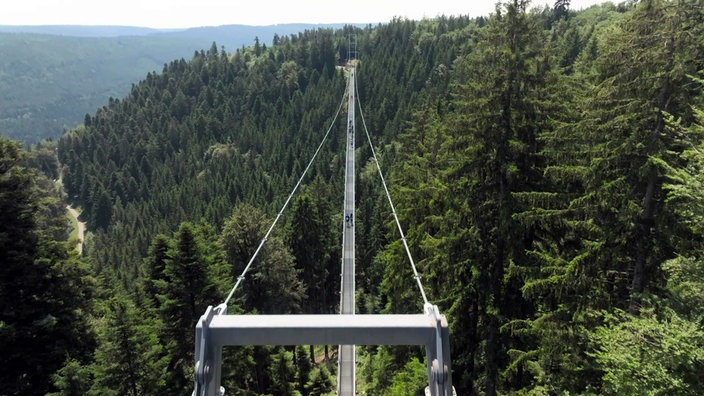 Schmale Hängebrücke über bewaldetem Tal