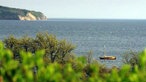 Blick über die Ostsee auf die Küste mit den Kreidefelsen, im Vordergrund grüne Büsche und Bäume und ein Boot im Wasser