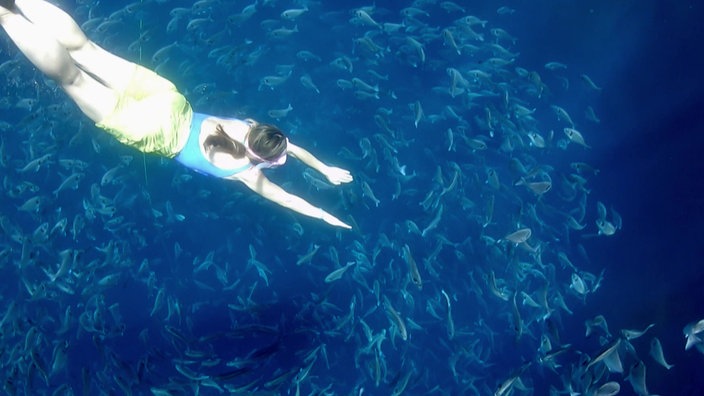 Tamina Kallert schwimmt in der Fischzuchtanlage inmitten eines Fischschwarms