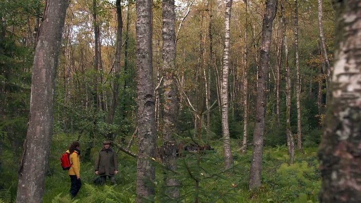 Anne Willmes und Diethard Altrogge im Wald