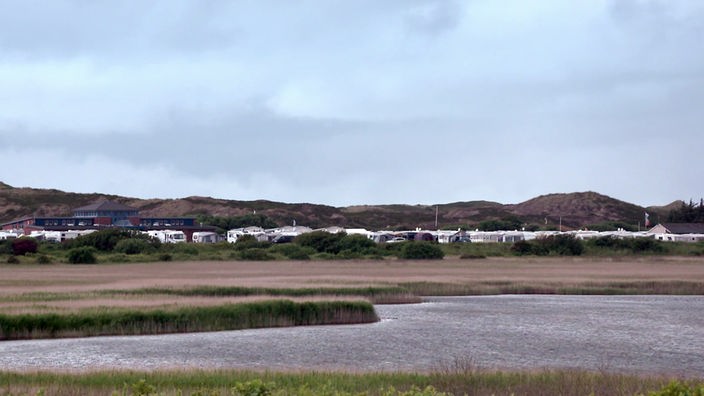 Blick über Wasserfläche und Riedgras auf einen Campingplatz