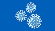 Illustration: Corona Viren, schematisch stark vereinfacht