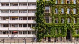 Ein sechsstöckiges Gebäude steht neben einem Altbau, dessen Fassade über und über mit wildem Wein bewachsen ist.