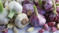 Knoblauch im Labortest