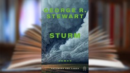 Buchcover: "Sturm" von George R. Stewart