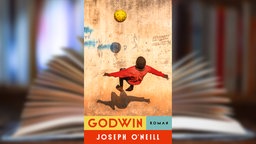 Buchcover: "Godwin" von Joseph O'Neill