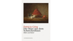 Buchcover: "Der Sturz aus dem Schneckenhaus" von Patricia Görg