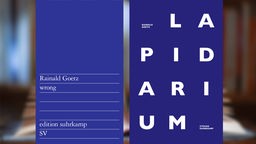Buchcover: "wrong" und "Lapidarium" von Rainald Goetz