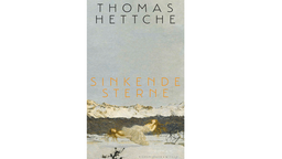 Buchcover: "Sinkende Sterne" von Thomas Hettche