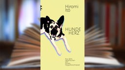 Buchcover: "Hundeherz" von Hiromi Itō
