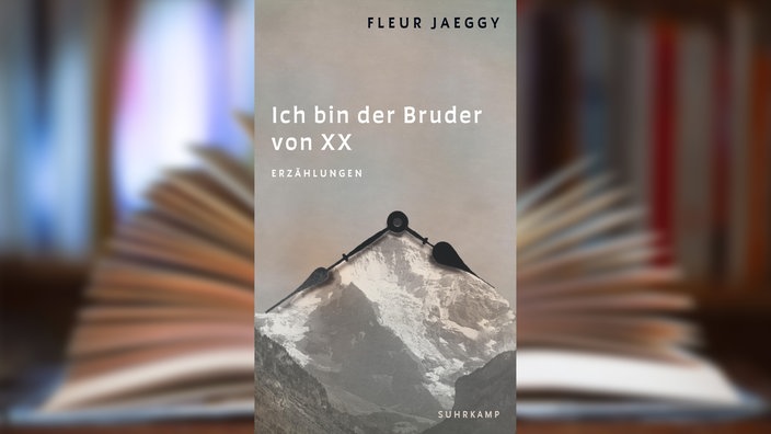 Buchcover: "Ich bin der Bruder von XX" von Fleur Jaeggy